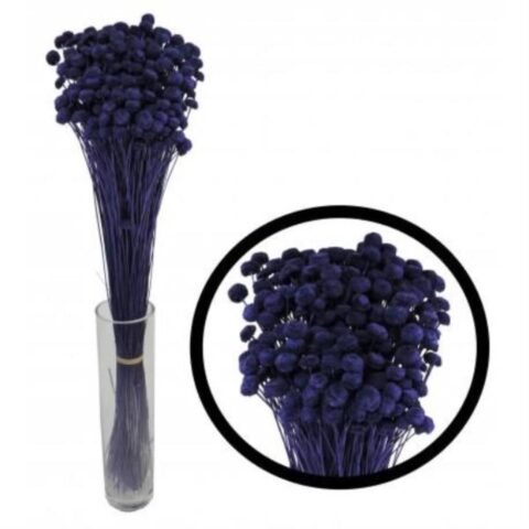 BOTAO LAVANDA