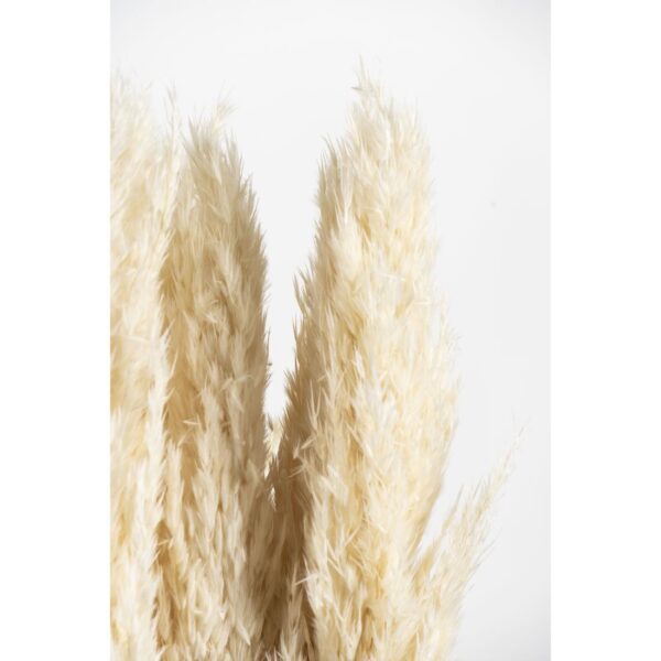 Plumero silvestre blanco 120cm - Imagen 2