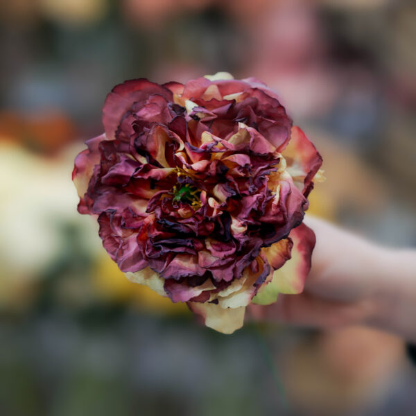 flor de flamenca online peonia