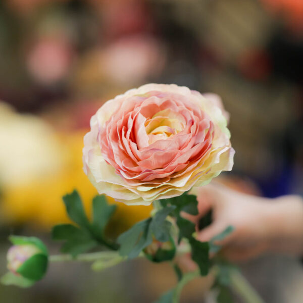 flor de flamenca online ranunculo