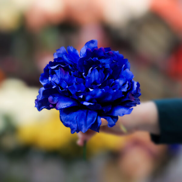 flor de gitana online peonia azul