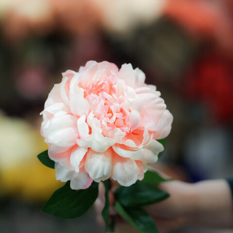 comprar flor de flamenca online rosa claro