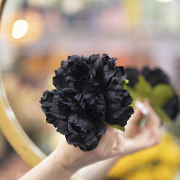 flor flamenca peonia negra
