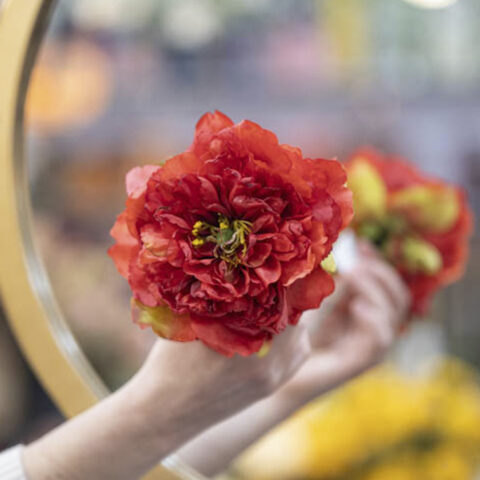 flor de flamenca peonia roja claro