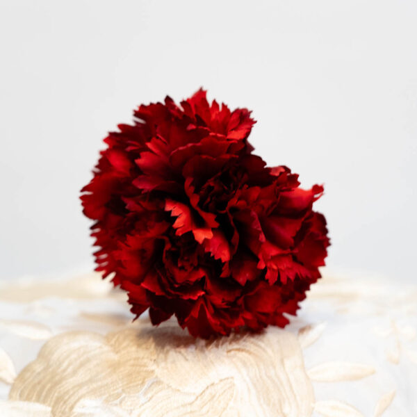 flor flamenca clavel rojo