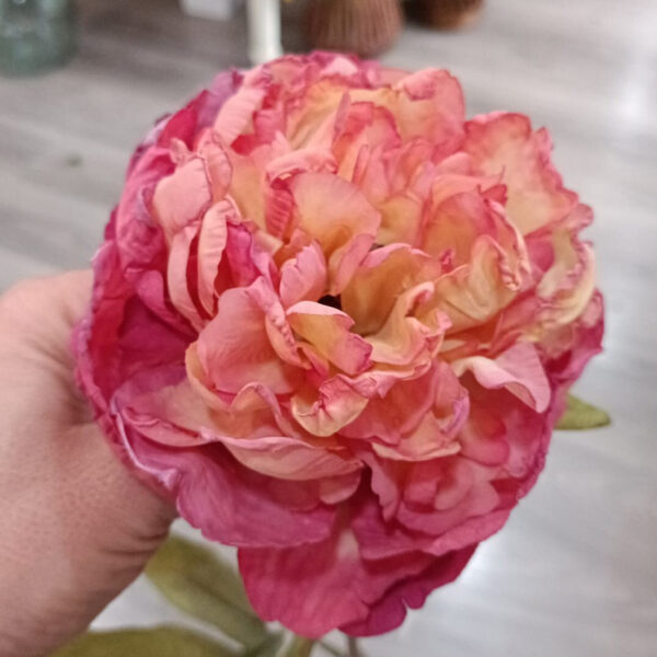 flor de flamenca peonia color maquillaje