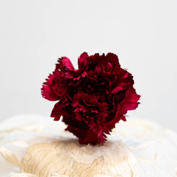 flor flamenca clavel fucsia
