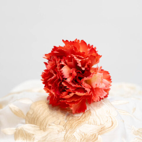 clavel flor flamenca coral