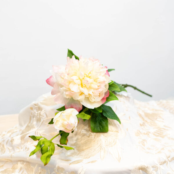 peonia blanca y rosa flamenca