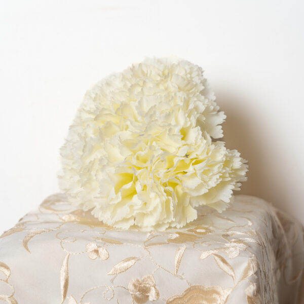 Ramillete claveles blancos