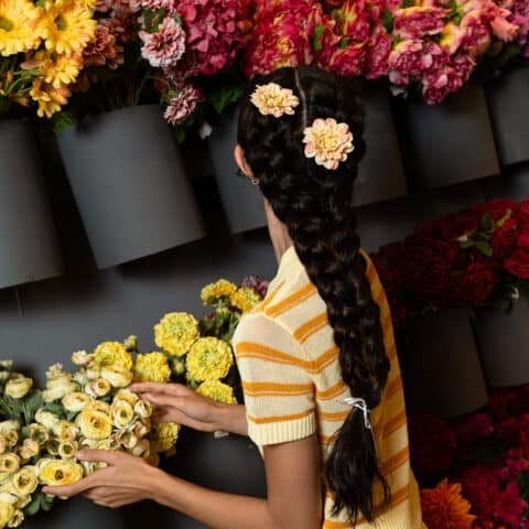 Horquilla Dalia Melocotón