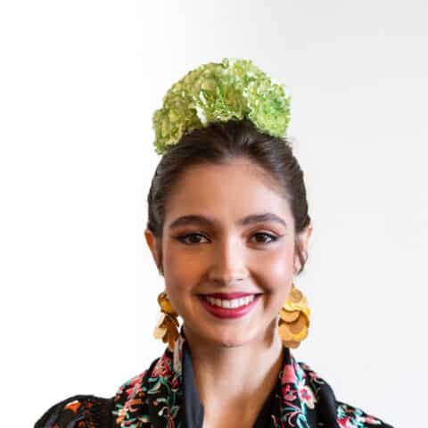 RAMILLETE 5 CLAVELES VERDE LIMA