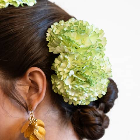 RAMILLETE 2 CLAVELES VERDE LIMA