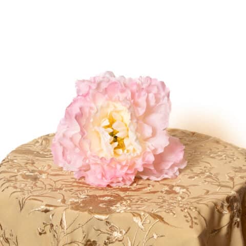 PEONÍA ROSA CLARO CENTRO CREMA