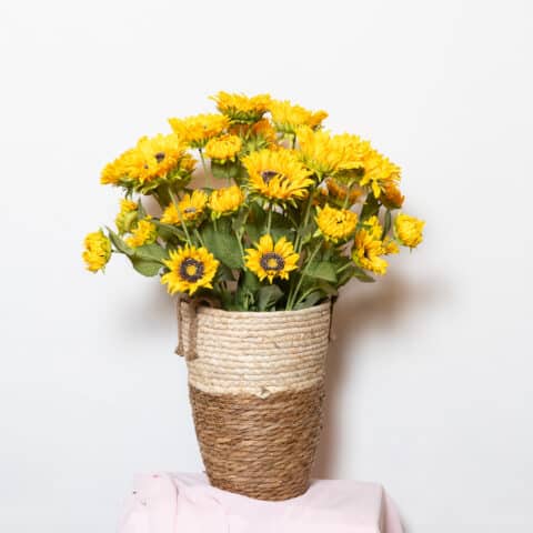 CESTO GIRASOLES