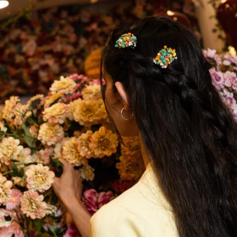 Horquillas Paniculata Preservada