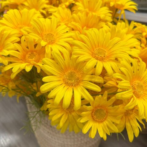 Ramo de margaritas amarillas artificiales