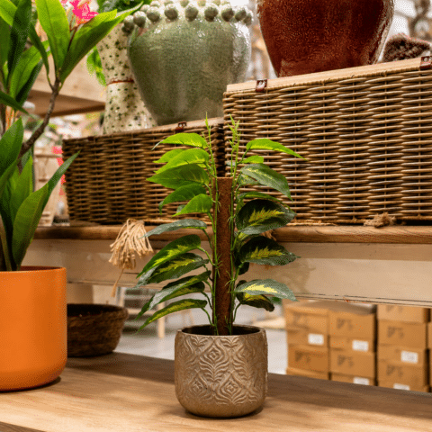 Planta Tropical artificial de Interior 50CM